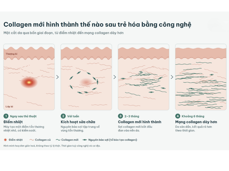 Vòng hình thành của Collagen mới bạn đã biết chưa?
